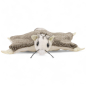Preview: Stuffed Animal Flying Squirrel