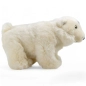 Preview: Stuffed Animal Polar Bear Preview: Stuffed Animal Polar Bear