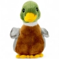 Preview: Kuscheltier Ente Preview: Kuscheltier Ente