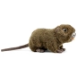 Preview: Kuscheltier Biberratte, Nutria Preview: Kuscheltier Biberratte, Nutria
