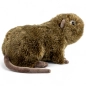 Preview: Kuscheltier Biberratte, Nutria Preview: Kuscheltier Biberratte, Nutria