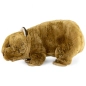 Preview: Kuscheltier Wombat Preview: Kuscheltier Wombat