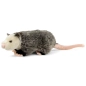 Preview: Stuffed Animal Possum