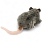 Preview: Stuffed Animal Possum