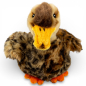 Preview: Stuffed Animal Wild Duck