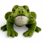 Preview: Stuffed Animal Frog