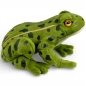 Preview: Stuffed Animal Frog