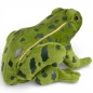 Preview: Stuffed Animal Frog