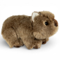 Preview: Kuscheltier Wombat