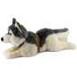 Preview: Stuffed Animal Husky with harness