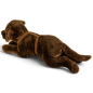 Preview: Stuffed Animal Labrador Retriever brown with harness