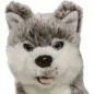 Preview: Stuffed Animal Husky sitting