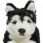 Preview: Kuscheltier Husky schwarz liegend