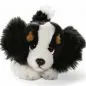 Preview: Stuffed Animal King Charles Dog Floppy