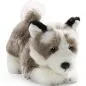 Preview: Stuffed Animal Husky Floppy