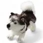 Preview: Stuffed Animal Husky standing