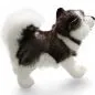 Preview: Stuffed Animal Husky standing