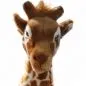 Preview: Stuffed Animal Giraffe