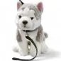 Preview: Stuffed Animal Husky sitting with lead