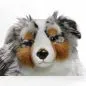 Preview: Stuffed Animal Australian Shepherd Dog lying