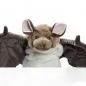 Preview: Kuscheltier Fledermaus Handpuppe