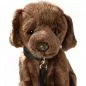 Preview: Stuffed Animal Labrador brown with lead sitting