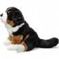 Preview: Stuffed Animal Bernese Mountain Dog