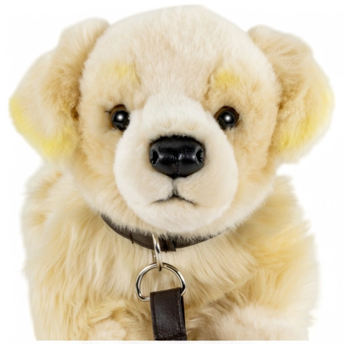 Stuffed Animal Golden Retriever with leash