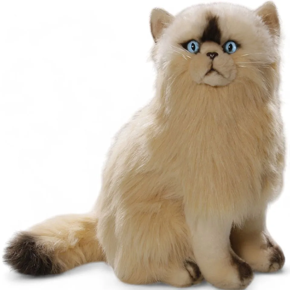 Kuscheltier Katze sitzend Perserkatze, Himalayan beige