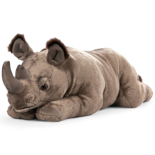 Rhino lying