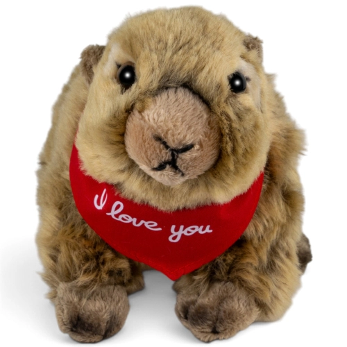 Kuscheltier Murmeltier liegend – rotes „I Love You“-Halstuch