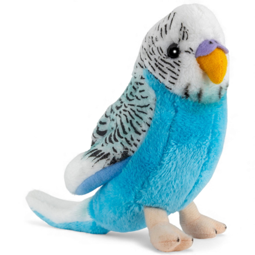 Preview: Budgerigar dark blue