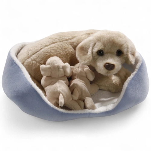 Golden Retriever mit Babys im Körbchen