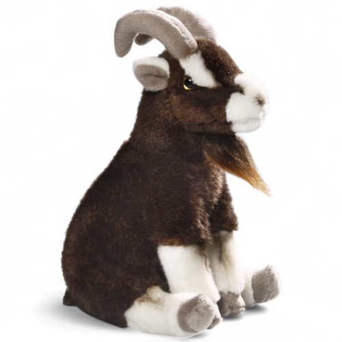 Preview: Ziege sitzend