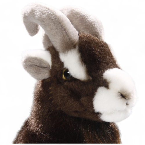 Preview: Ziege sitzend