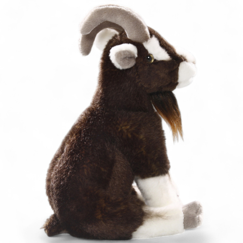 Preview: Ziege sitzend