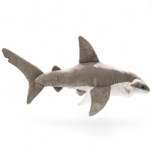 Preview: Hammerhead Shark