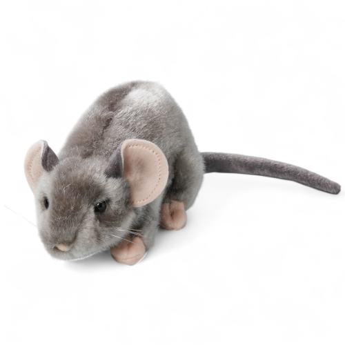 Mouse grey