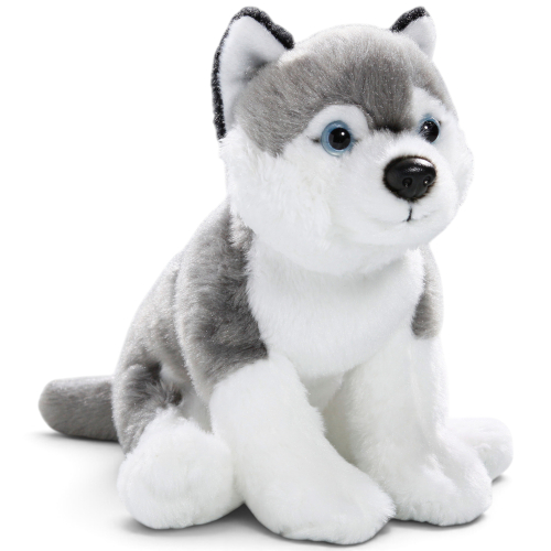 Preview: Husky sitzend