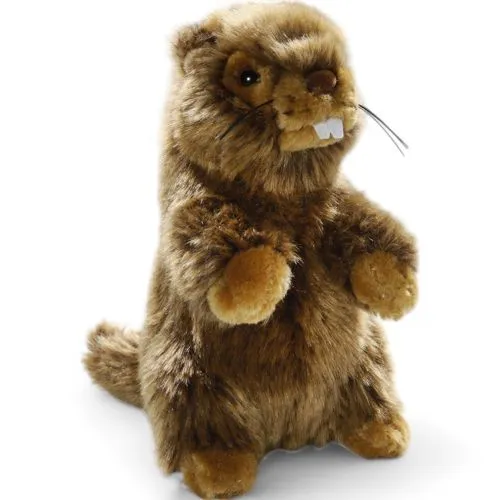 Stuffed Animal Marmot