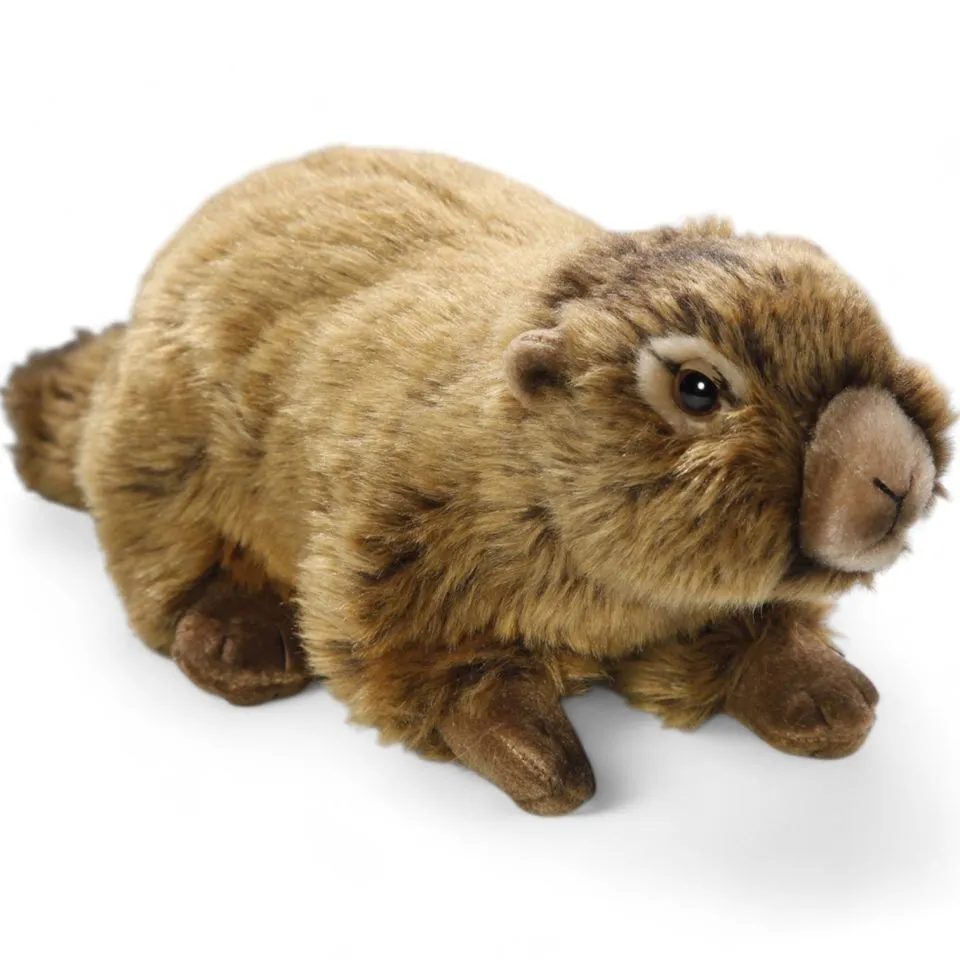 Stuffed Animal Marmot