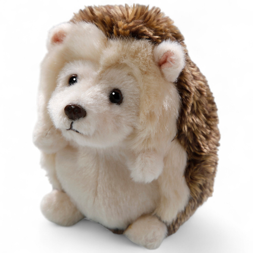 Hedgehog standing
