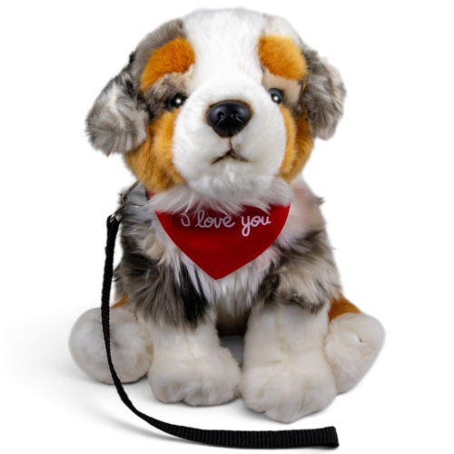 Preview: Australischer Schäferhund mit rotem „I Love You“-Halstuch