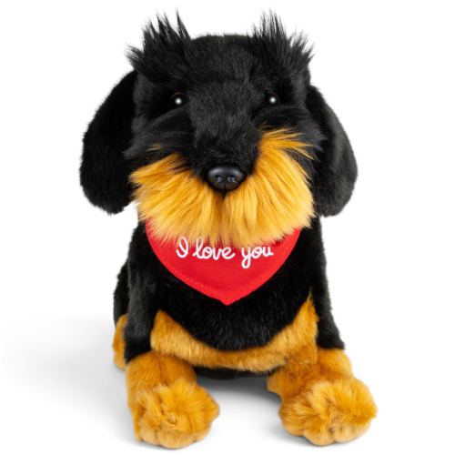 Preview: Dachshund Dog sitting black with a red “I Love You” scarf