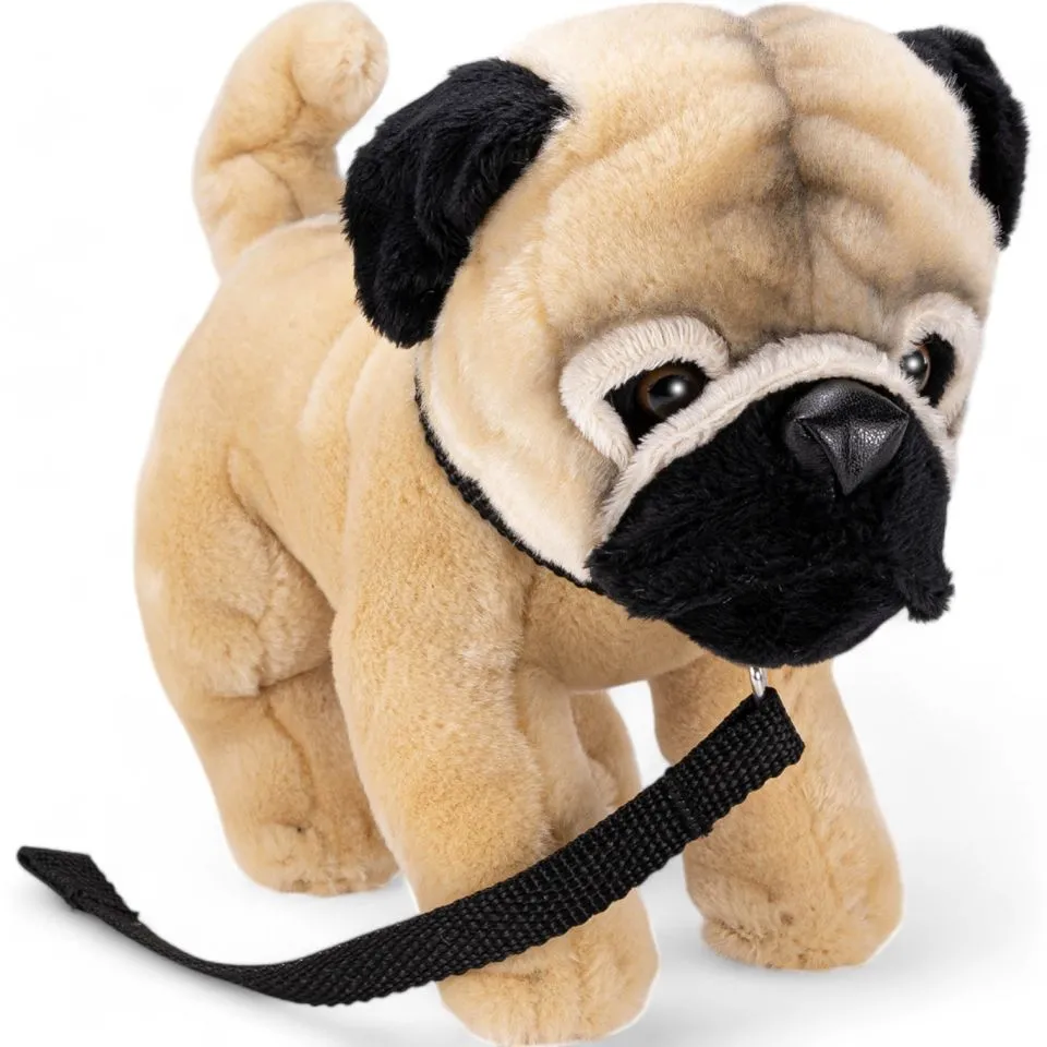 Stuffed Animal Pug standing with lead