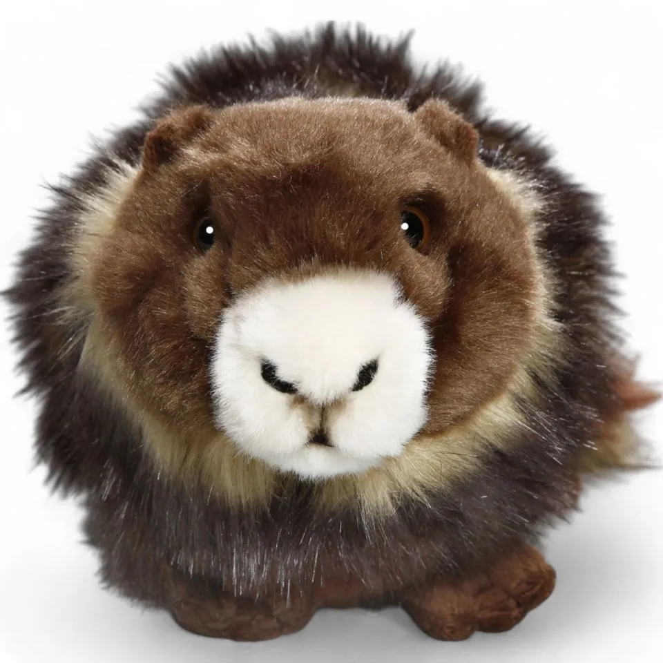 Stuffed Animal Marmot