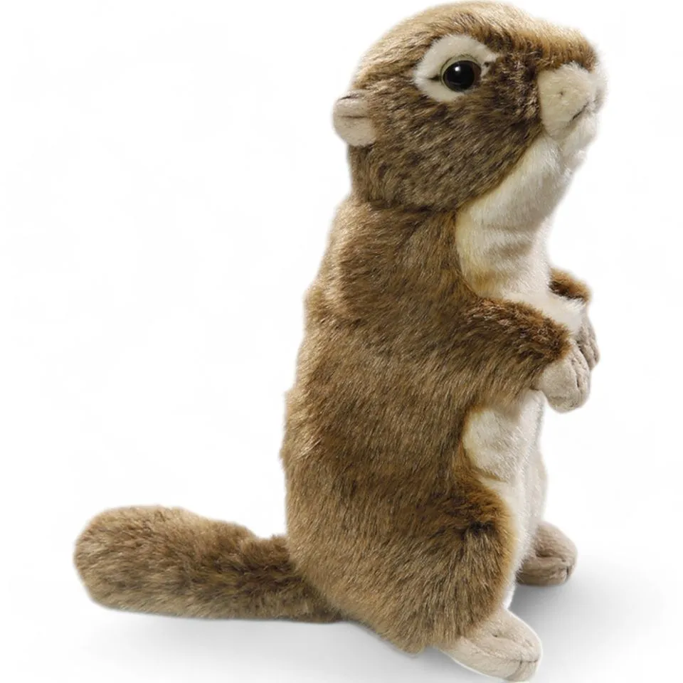 Stuffed Animal Ground Squirrel