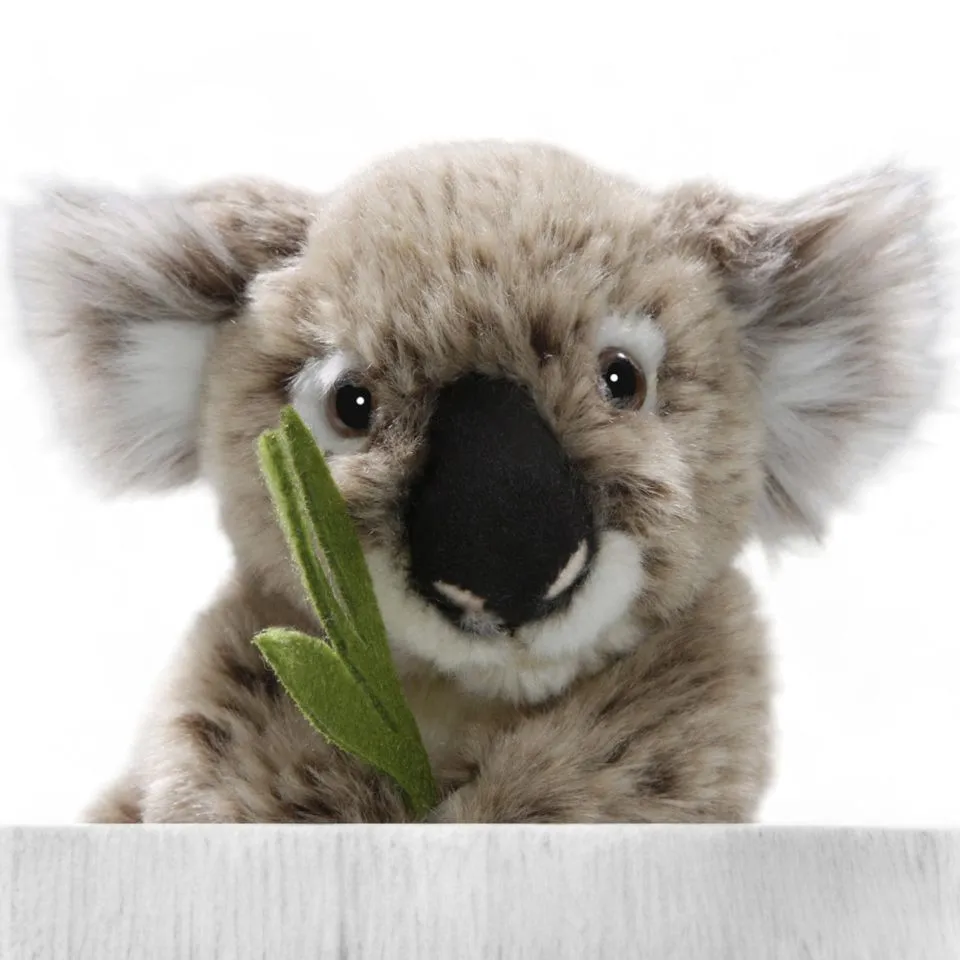 Stuffed Animal Koala Bear with Eucalyptus