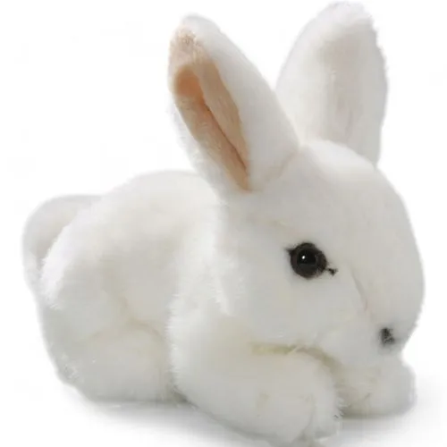 Stuffed Animal Rabbit Bunny sitting white