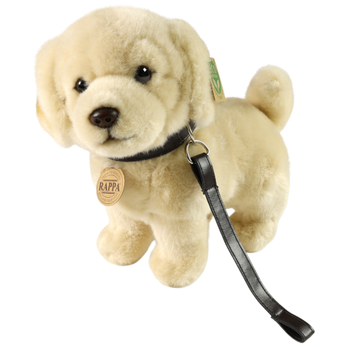 Golden Retriever mit Leine